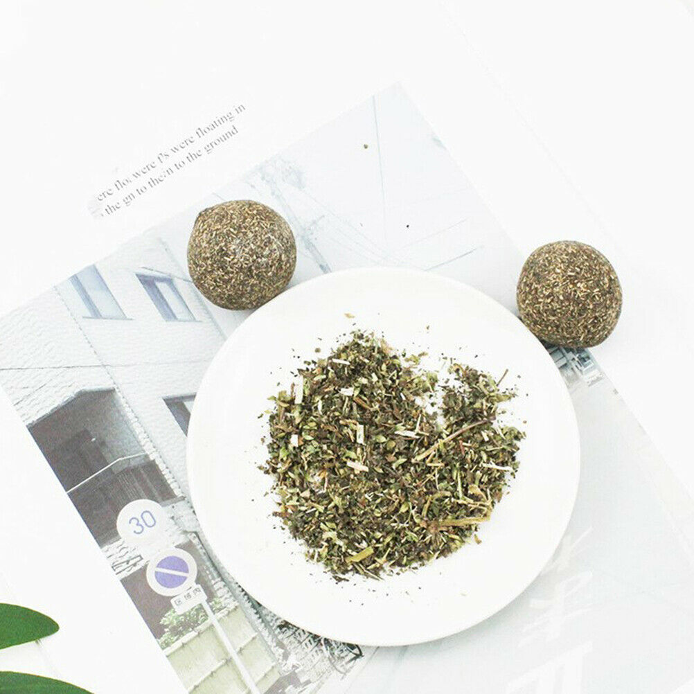 Pet Cat Natural Catnip Treat Ball Home Chasing ys Healthy Edible Treating Fx