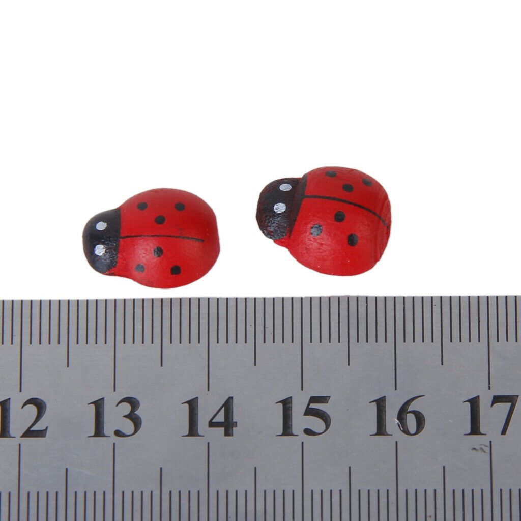 100 Pcs Small Wood Beetle Sponge
