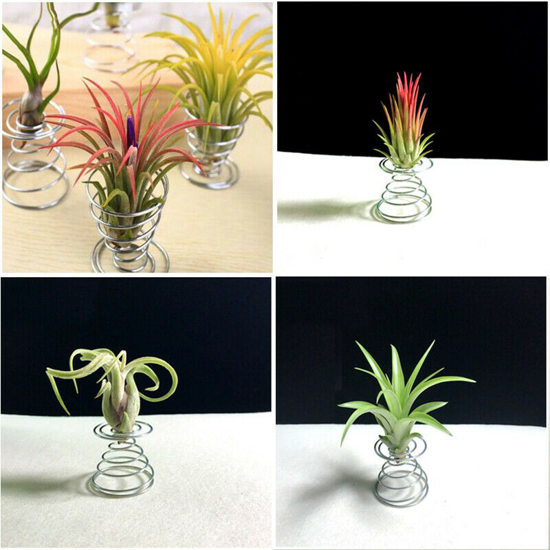 10x Metal Air Plant Stand Container Holder Tabletop Plant Display Rack Vase^DD