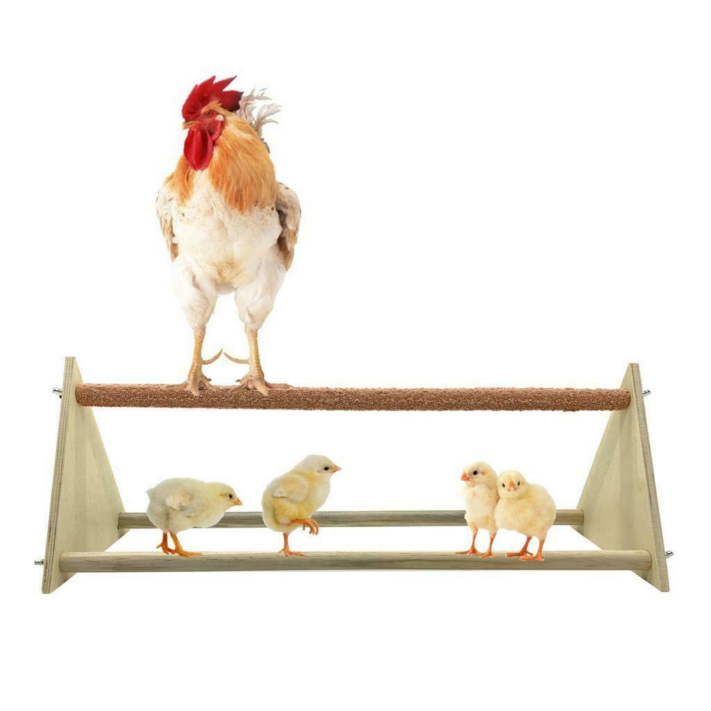 Parrot Pet Chicken Triangle Big Perch Stand, a Perfect Habitat Design for Your