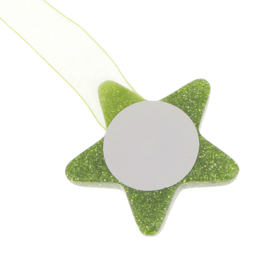 EU Star Magnetic Curtain Tieback Holdback Sheer Buckles Broach Tier Green