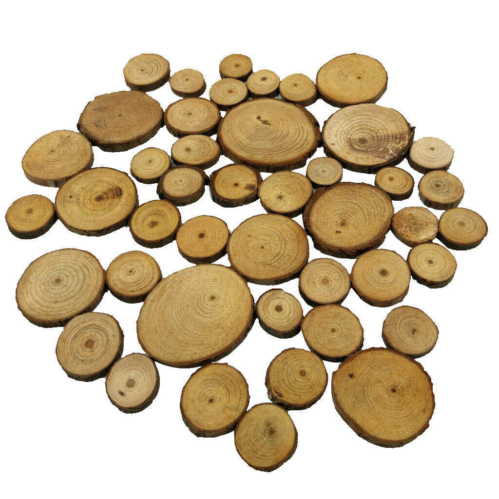 50pc Wood Tree Slices Disc Pine Tree Log Plaques for Drawing Paintings 2-4cm