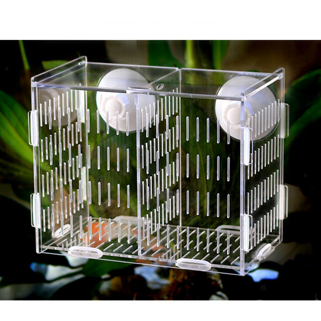 Aquarium Pet Fish Tank Guppy Breeding Breeder Rearing Box Hatchery #1