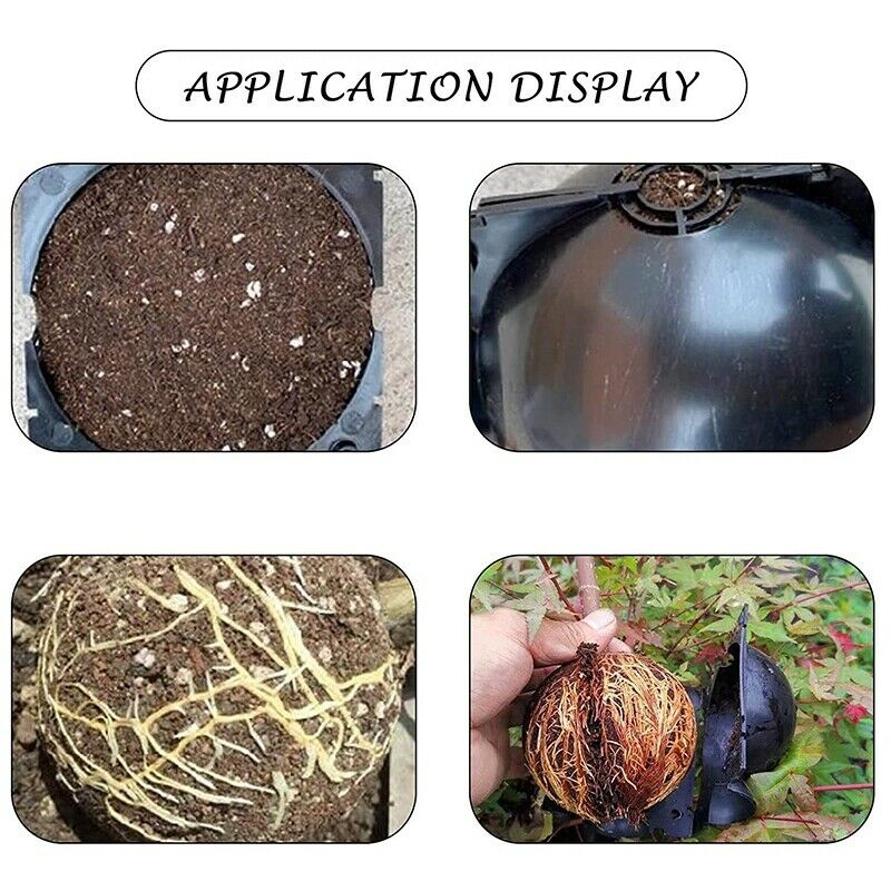 5Pcs 12cm Plant Root Growing Box High Pressure Gardening Plant Root Ball BreU3E1
