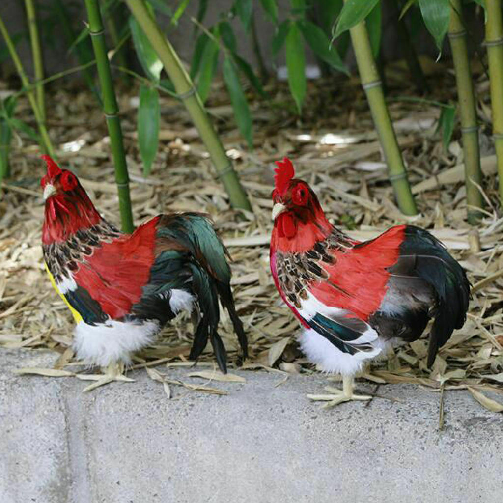 Rooster Chicken Farm Animals Feathers Prop or Decoration, 24x20cm