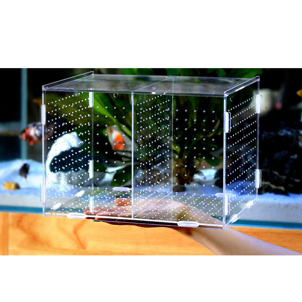 Aquarium Pet Fish Tank Guppy Breeding Breeder Rearing Box Hatchery #1