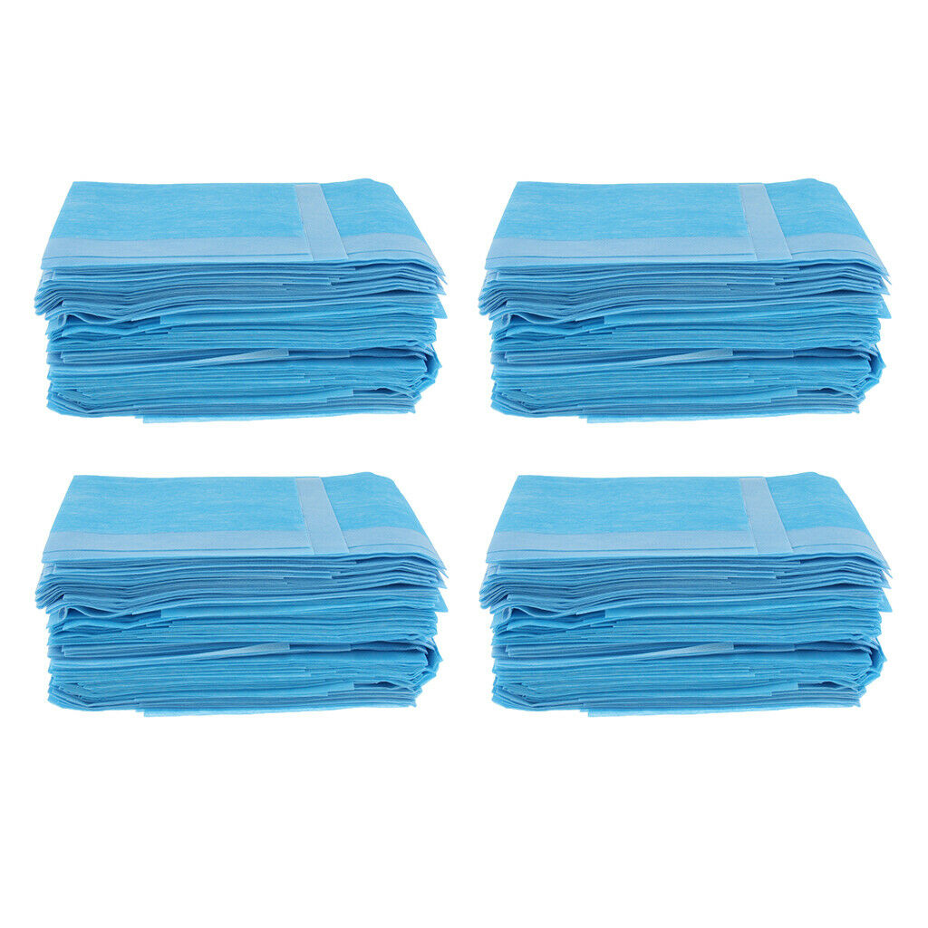 240pcs Disposable Underpads With Ultra Absorbent 40x40cm for Kids Children Pets