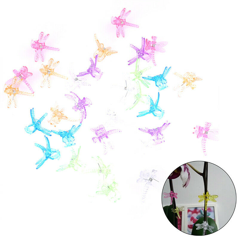 30pcs vine fixing clip grafting clip butterfly orchid special dragonfly c.l8