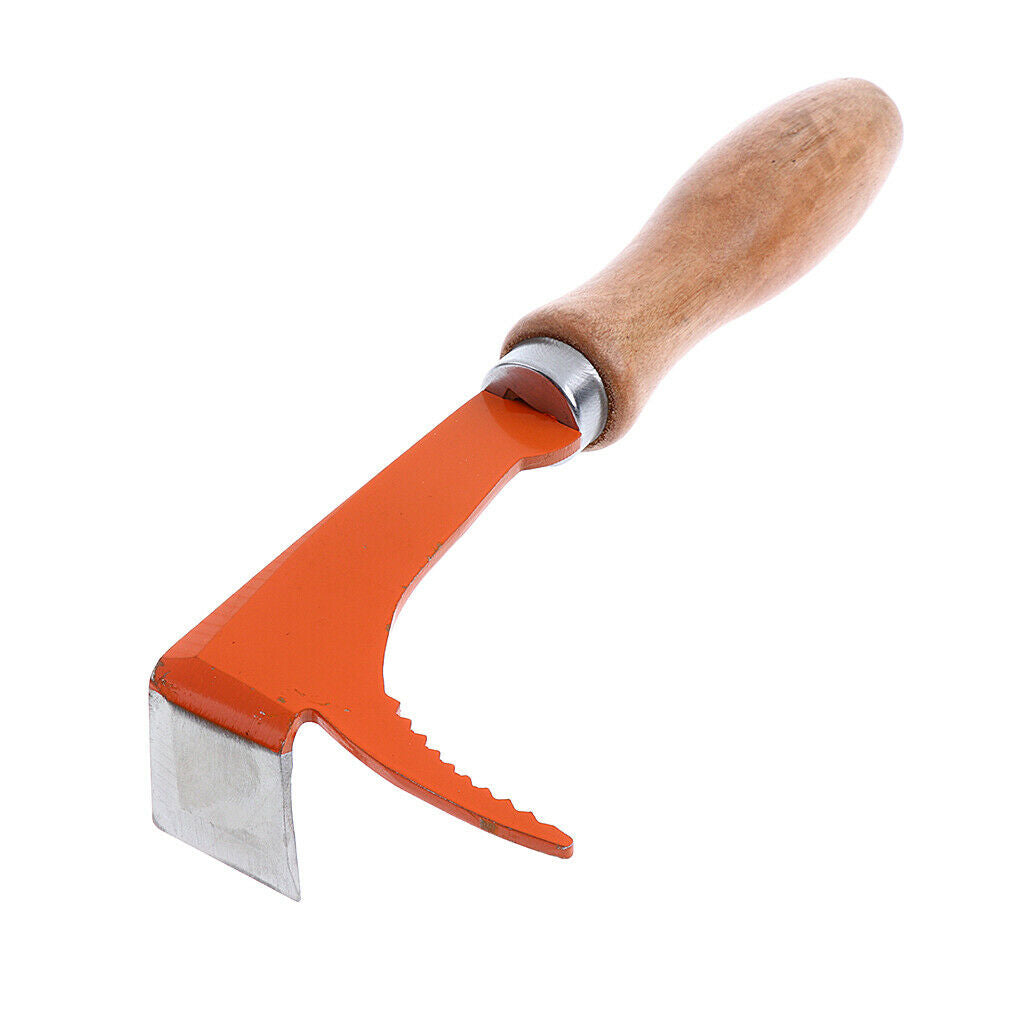 Best Choice Bee Hive Scraper Tool Two in One Stainless Steel for Beekeepers