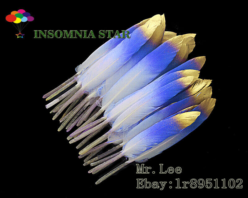 New 100pcs Beautiful Sapphire Colorful Natural Goose Feather 10-15cm/4-6 inches