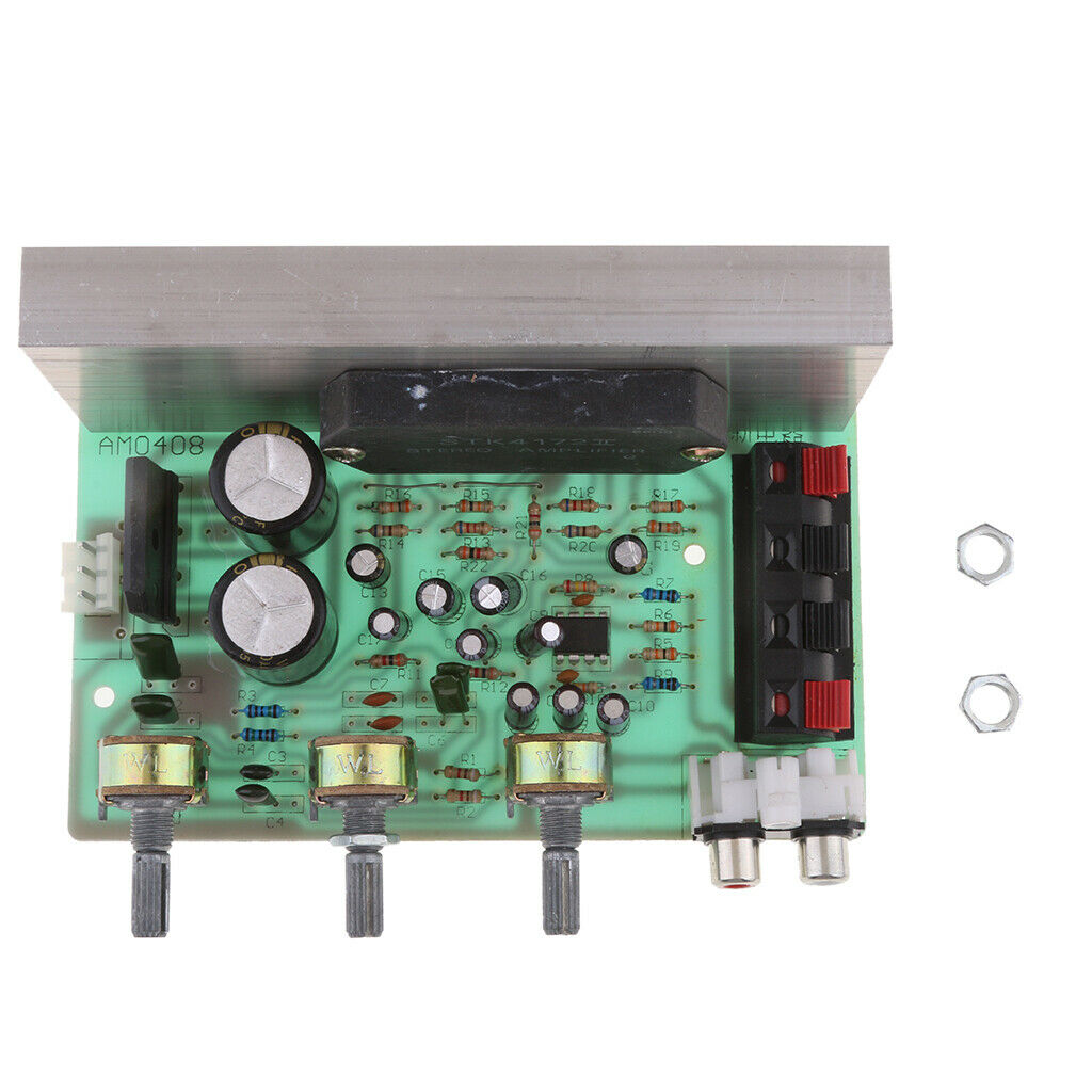 100W DC 12V Dual Channel Digital Amplifier Board Power Amplifier Circuit Board