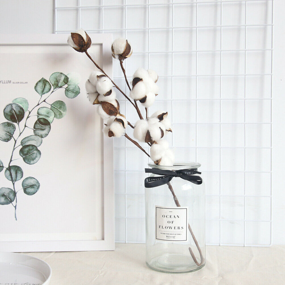 Naturally Dried Cotton Flowers Artificial Plants Wedding Home Decorati.l8