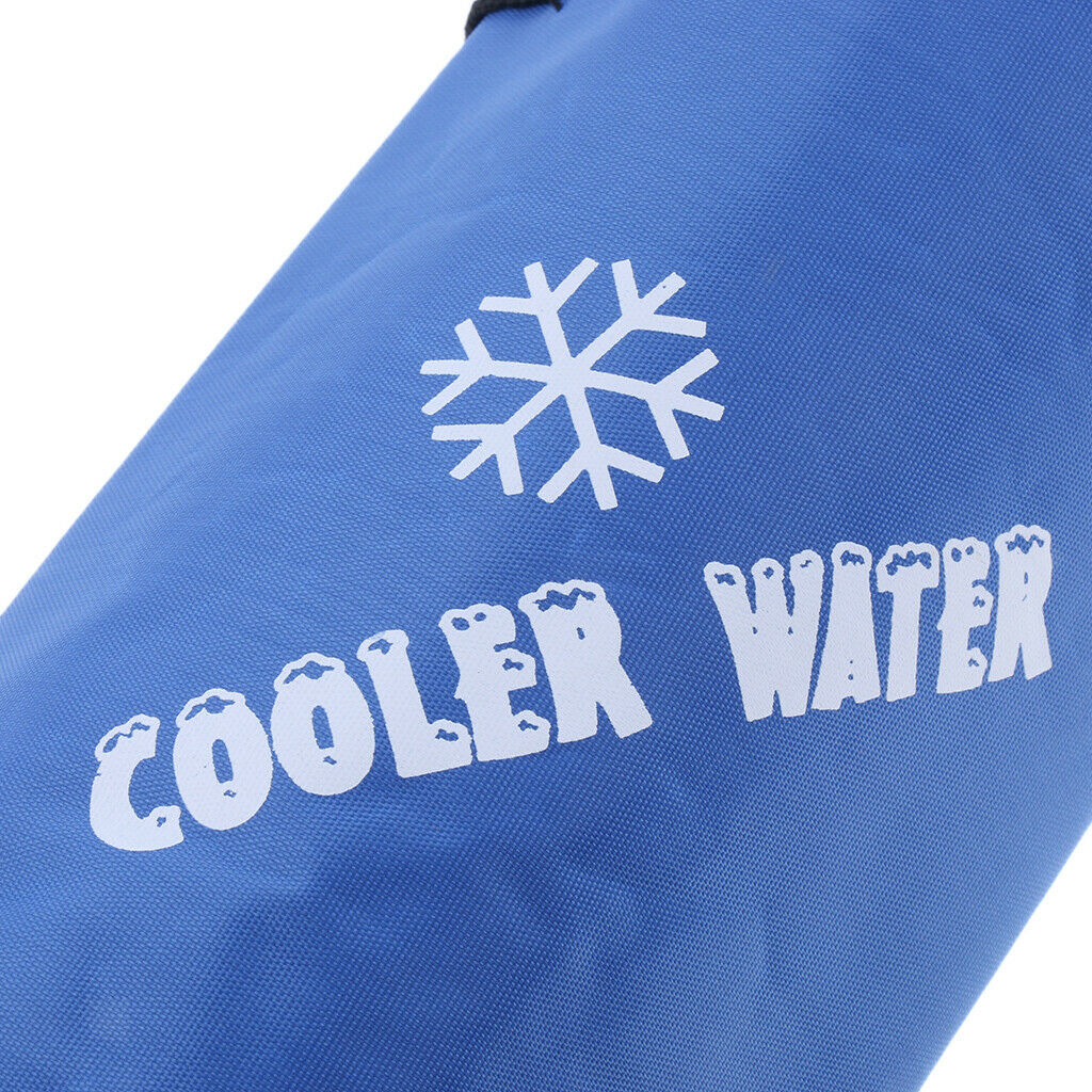 Waterproof Insulated Cooler Tote Reusable Lunch Bag Cooler Camping Ice Box