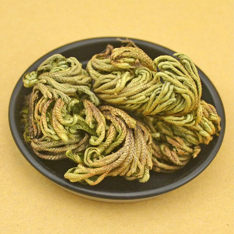 1pc Dried Flower Magical Resurrection Plants Grass Air Fern Selaginella Moss hot