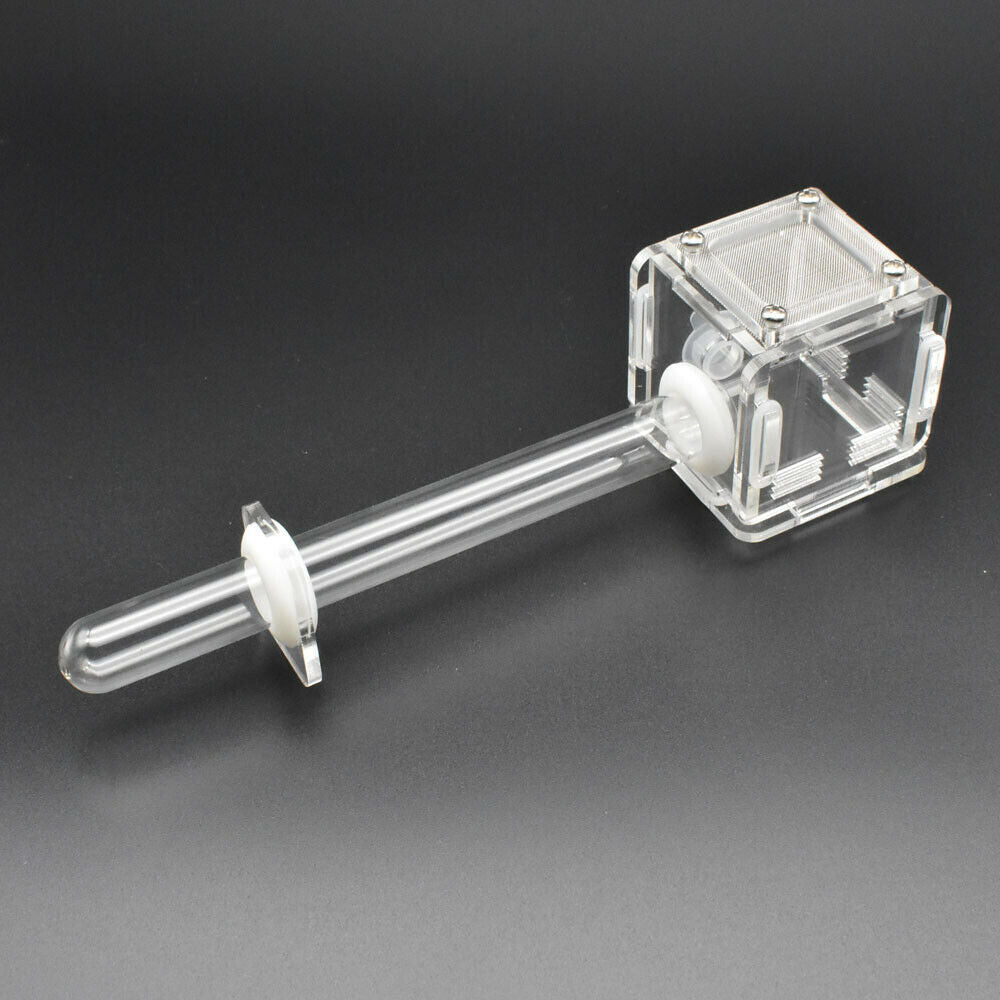 Acrylic Mini Ant Nest Glass Nest Tube Farm Formicarium Small Colony Feeding Area