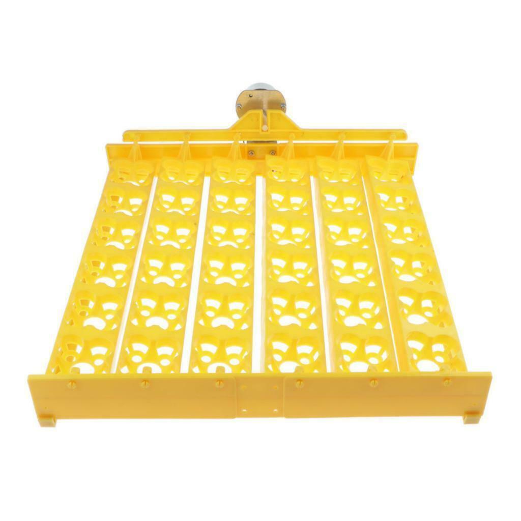 Plastic Automatic Egg Turner Tray, 36 Eggs Incubator Poultry Hatcher for Chicken