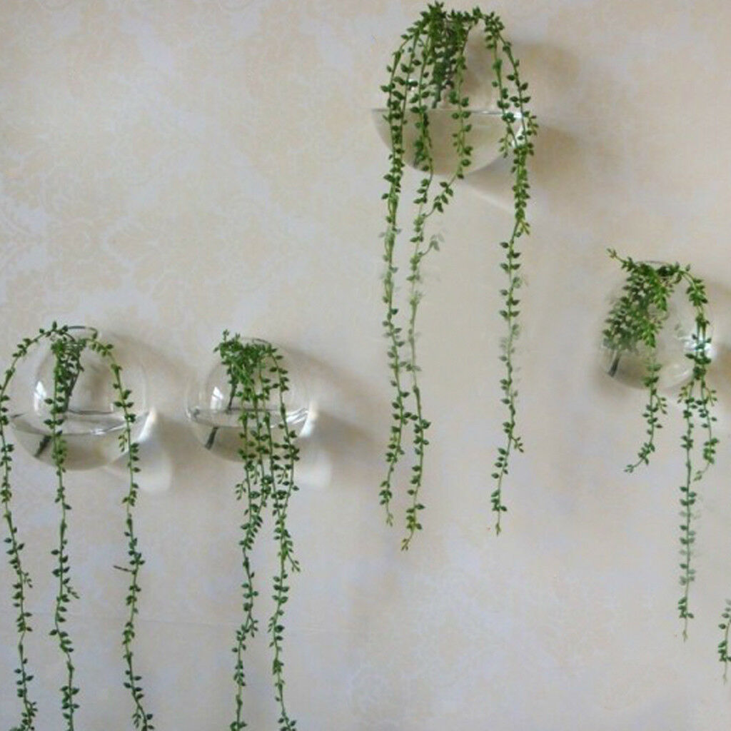 Wall Mouted Creative Hanging Glass Flower Vase Hydroponics Bottle   Bowl