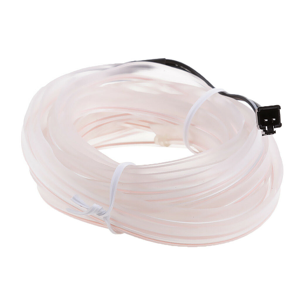 Car Party White Neon Cold Light EL Wire Strip and 12V Drive Inverter 5M