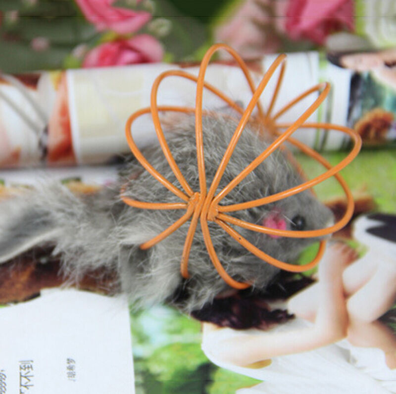 Fun Gift Play Playing Toys False Mouse in Rat Cage Ball For Pet Cat Kitte.l8