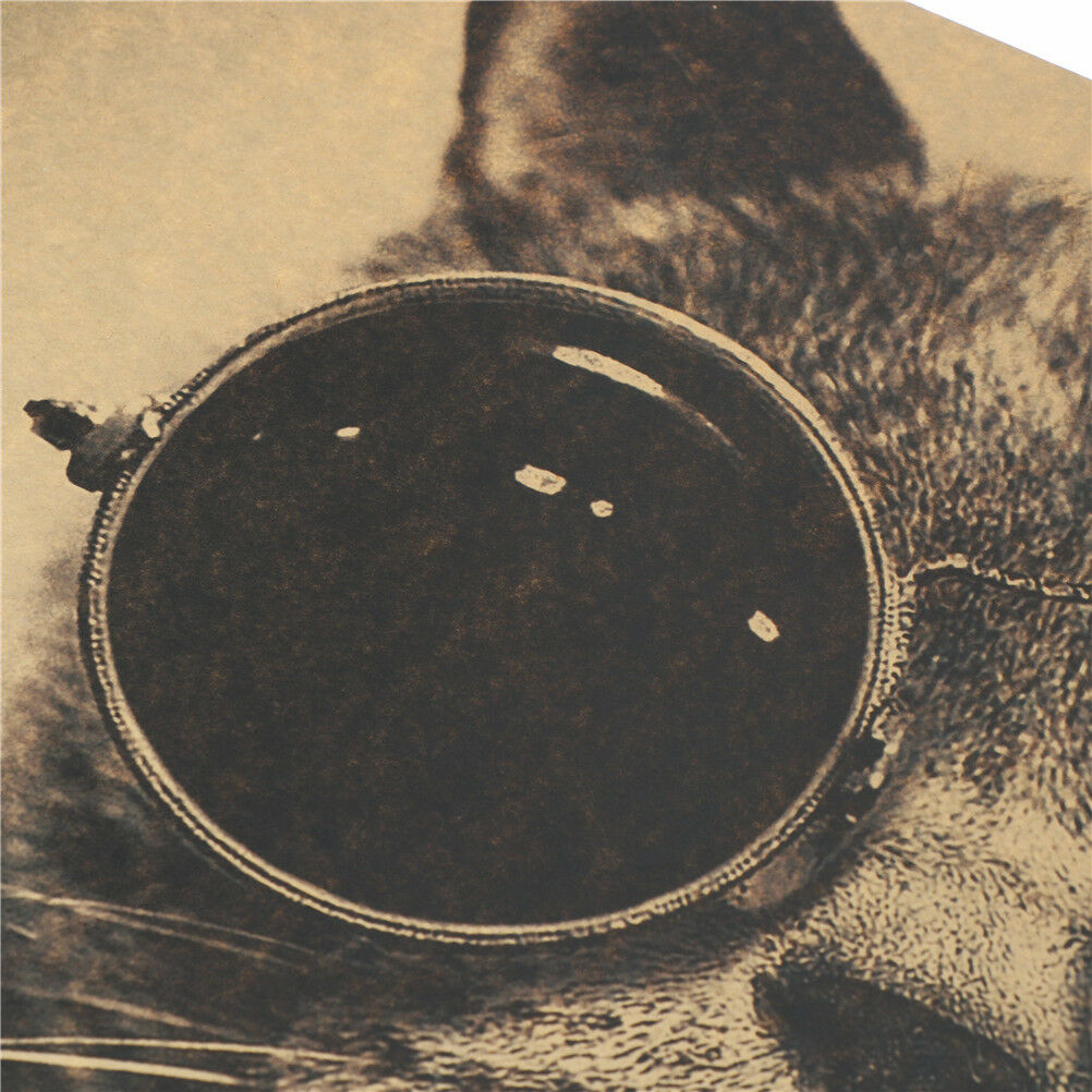 cat sunglasses kraft paper bar poster retro poster decor painting wall st.l8
