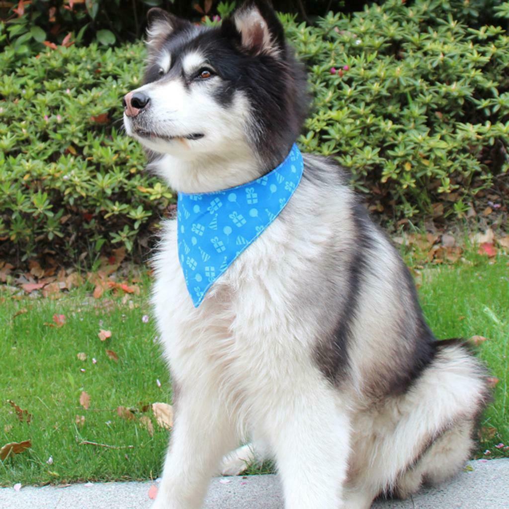 Dog Cat Scarf Cat Dog Decorative Saliva Towel For All Breeds Dog Blue-S