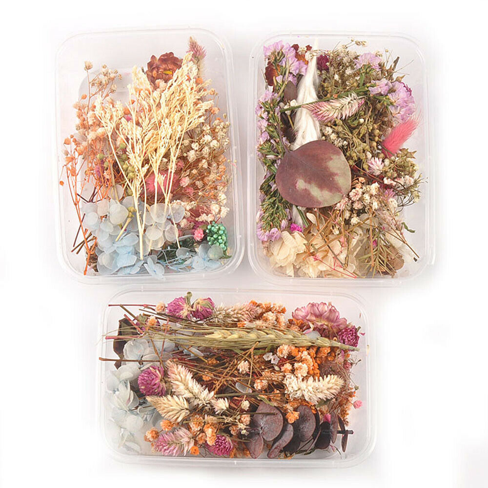 1 Box Mixed Dried Flower Eucalyptus Photo Frame Handmade Soap Candle Epoxy DIY