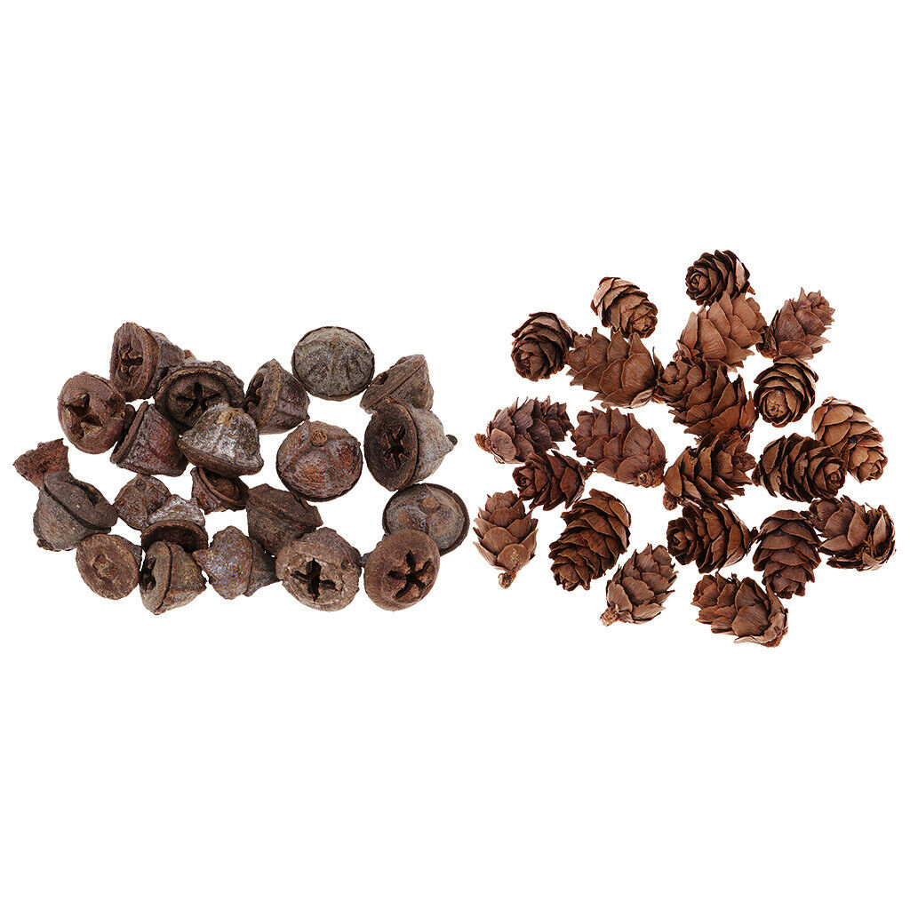 100x Natural Dried Flower Pine Cone Ornament Decorative Bowl