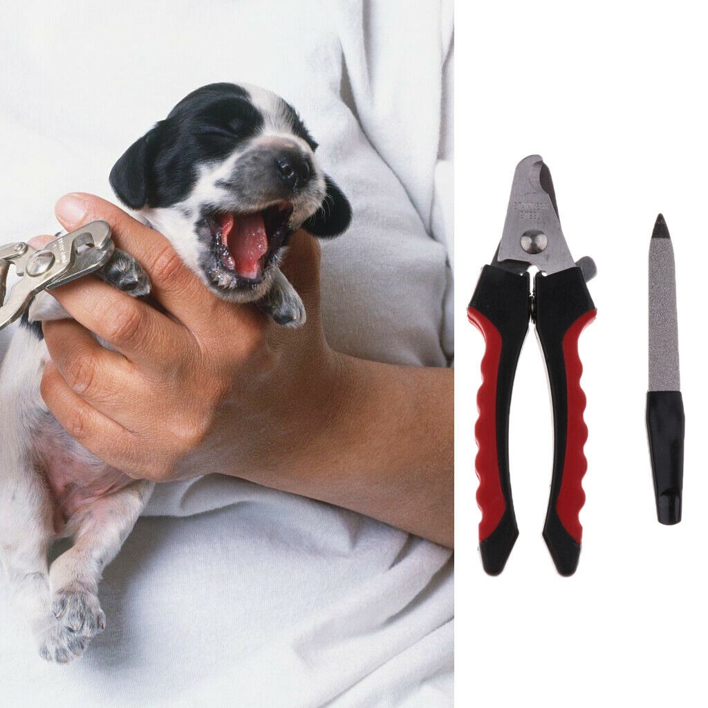 Stainless Steel Pet Dog Cat Nail Clippers and Trimmer Nail File Professional