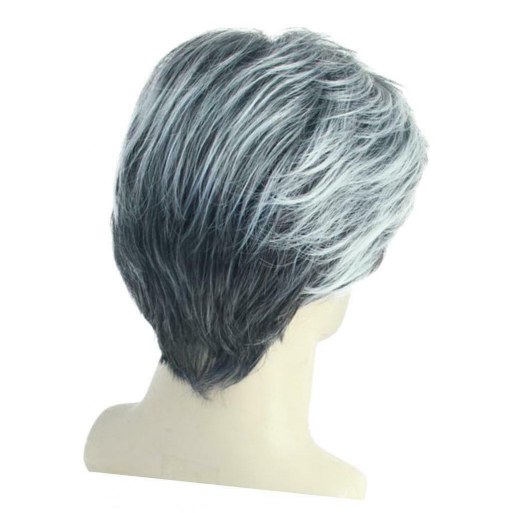 10'' Short Straight Men Grey White Side Part Synthetic Natural Looking with Wig