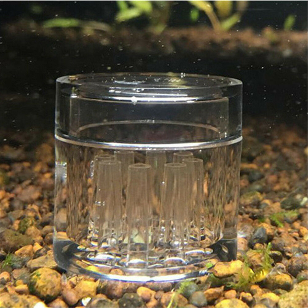 8Hole snail trap free bait for aquarium fish plant tank Planarian leech Ca.l8