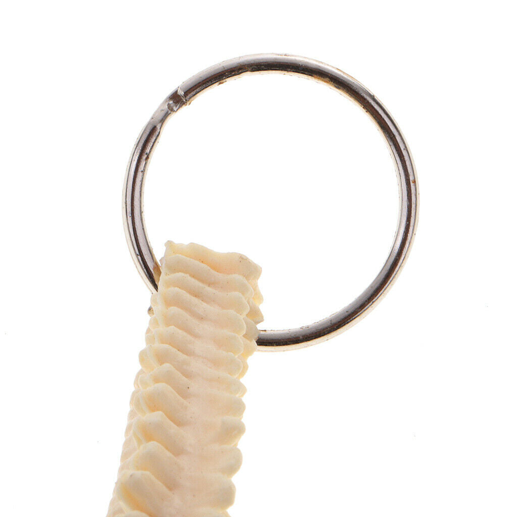 Novelty Mini Handmade Spinal Backbone Style Key Chain Key Ring Accessories