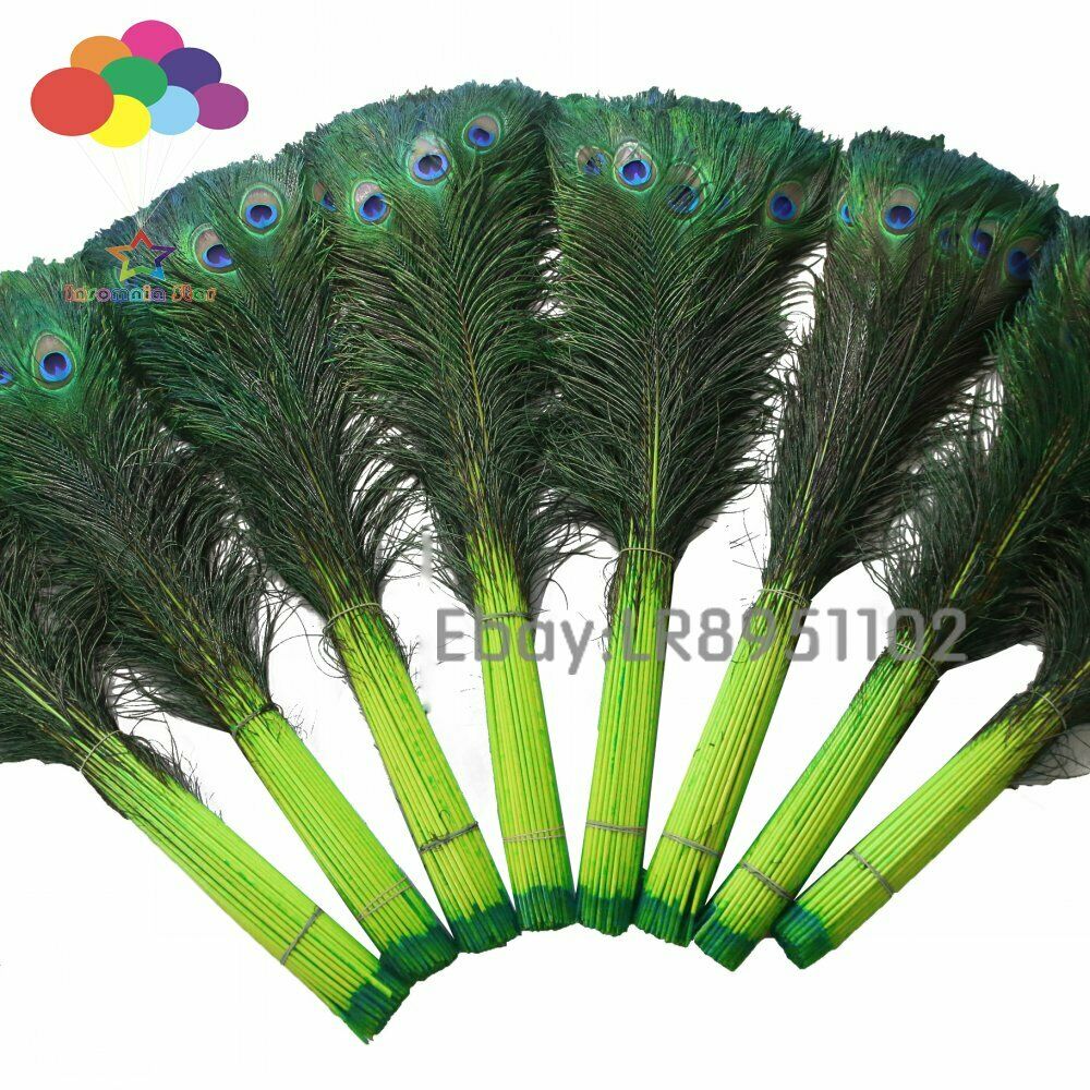 Fruit green 100 PCS Peacock Feather 70-80 cm Clothing Decoration Plumage Fashion