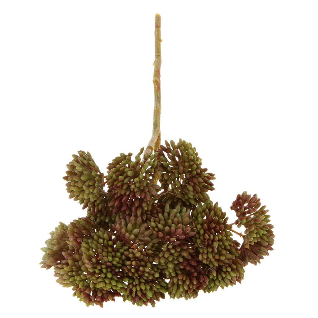 Artificial Fruit Succulent Grass Desert Plant DIY Flower Arrangement Brown
