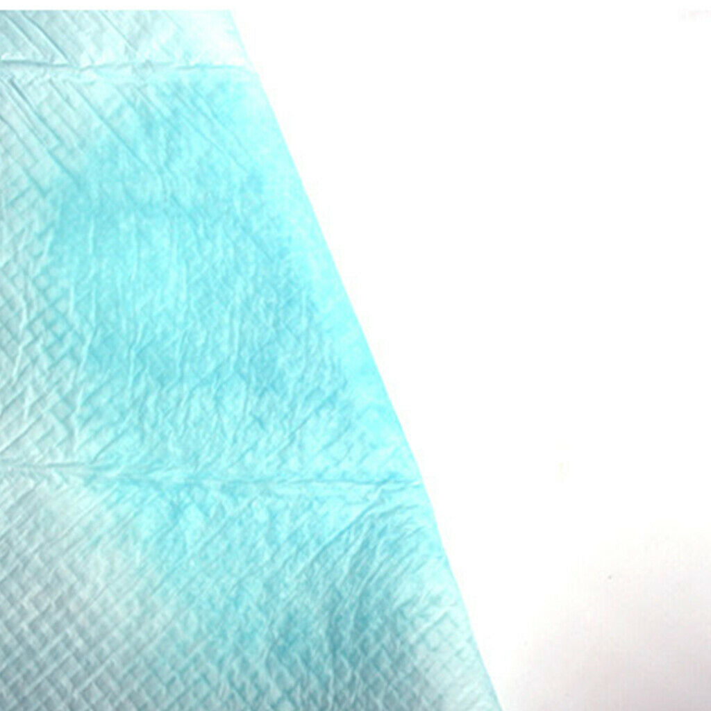 Disposable Pads Waterproof Protection for Older Pets Puppy
