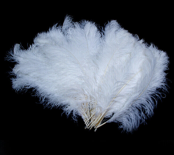 10-12in/25-30cm white Wholesale 100pcs High Quality Natural OSTRICH FEATHERS
