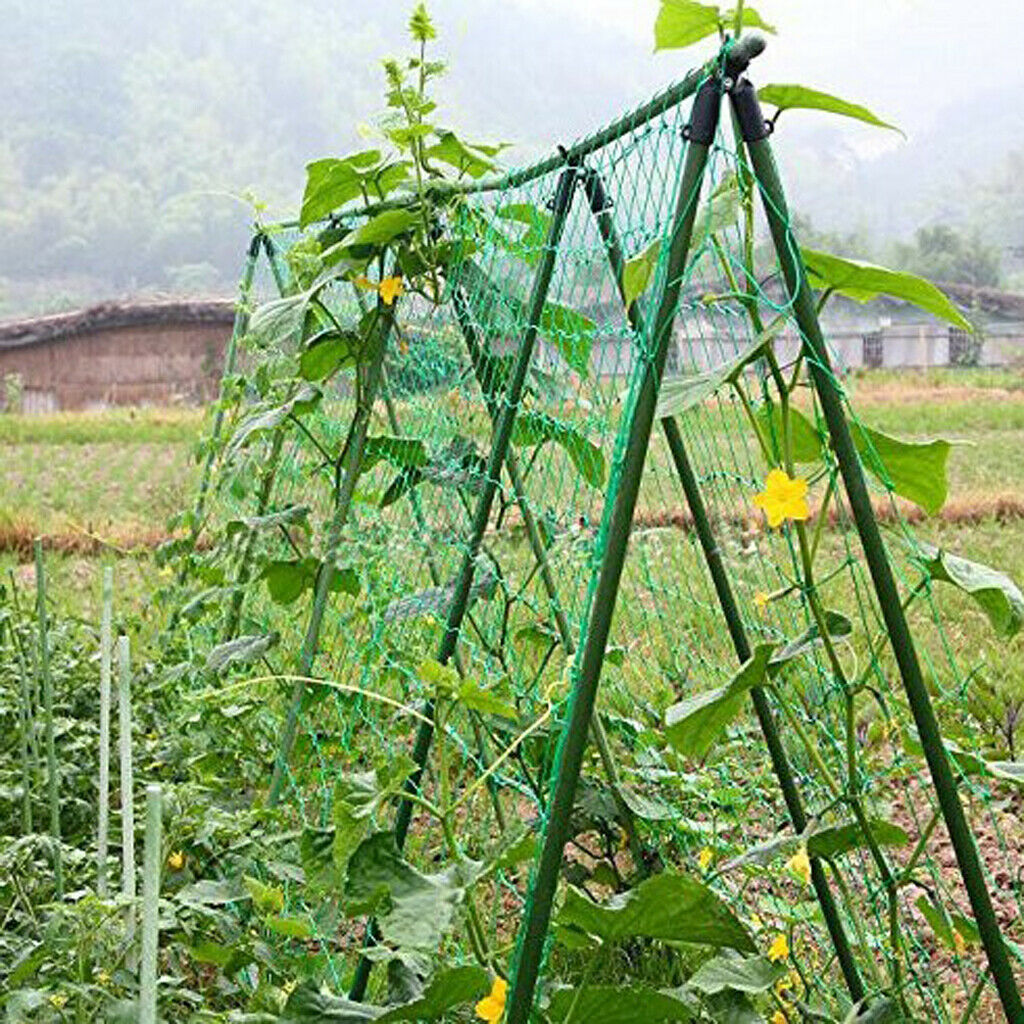 2-Pack Nylon Heavy-Duty Plant Trellis Netting Plant Support Vine Trellis Net