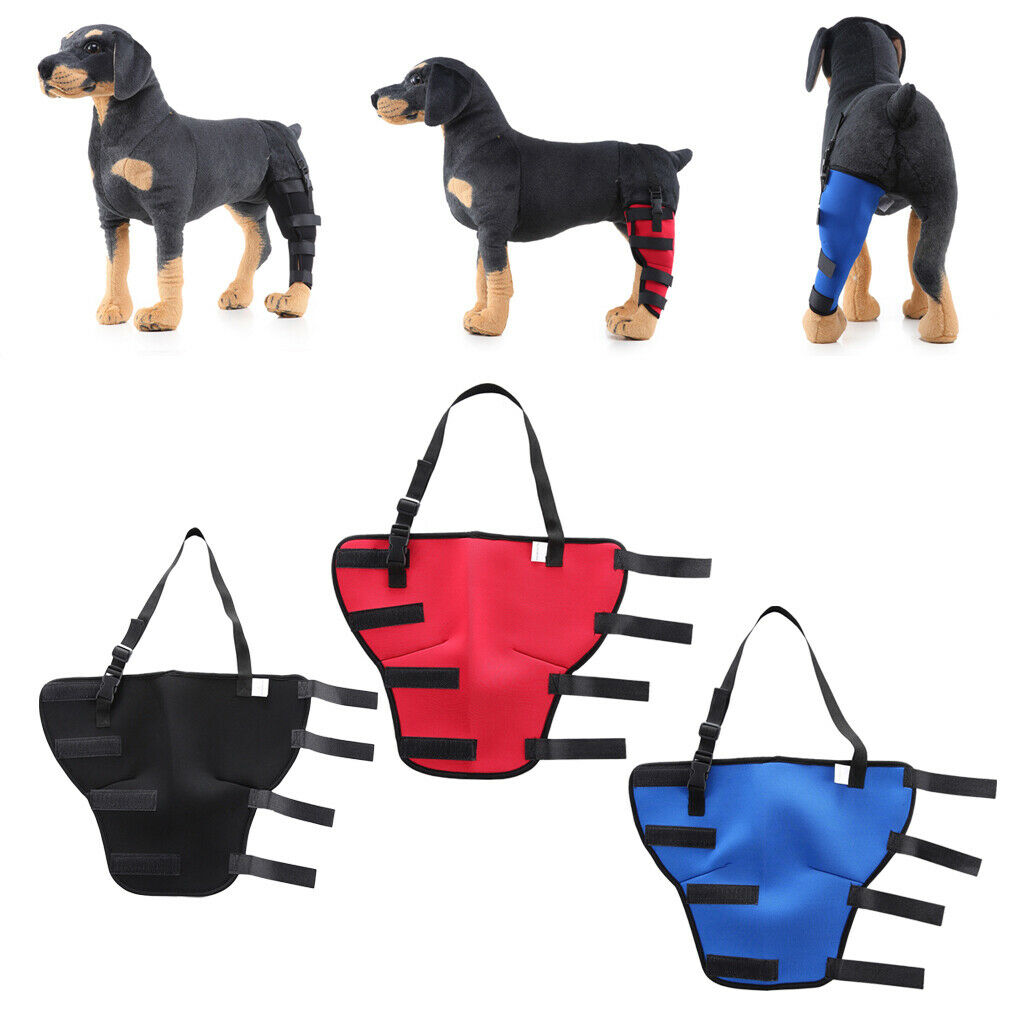 2 Pieces Pet Auxiliary Belt Dog Protective Joints Protector for Dog Puppy Dog -