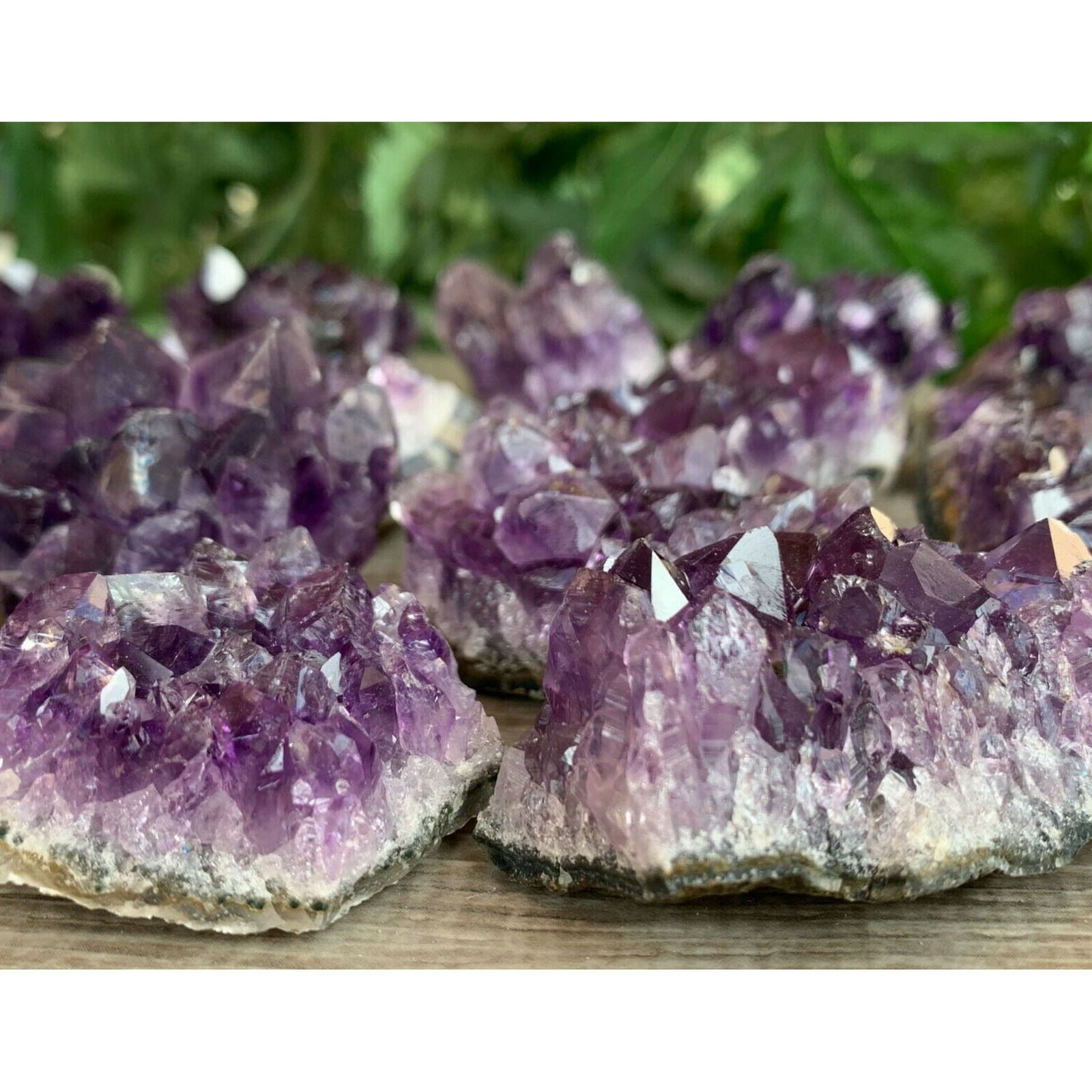 Raw Amethyst Cluster Druzy Collection Box Deep Purple Amethyst