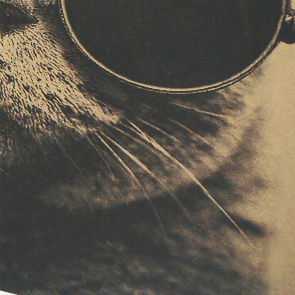 cat sunglasses kraft paper bar poster retro poster decor painting wall st.l8