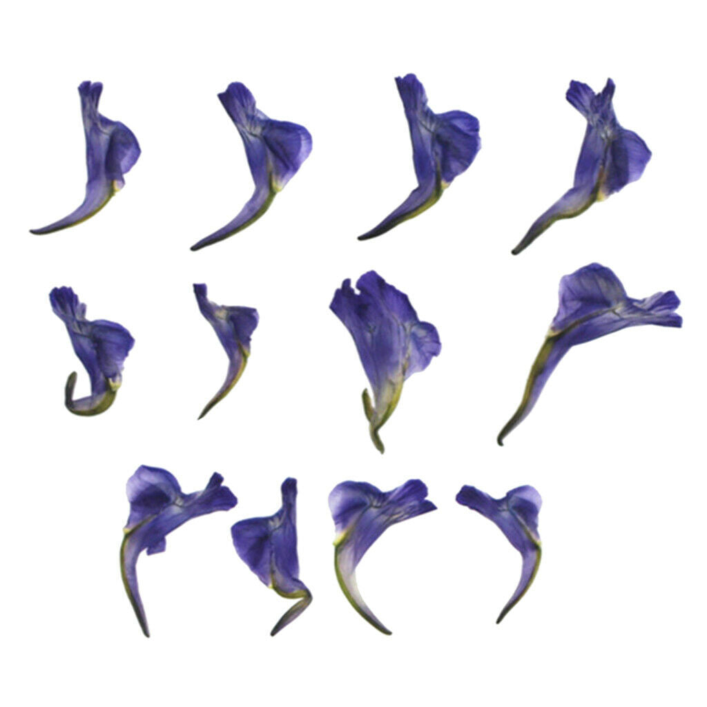 12 Pieces Of Real Dried Leaves Handmade Pressed Flower Dried Flowers For