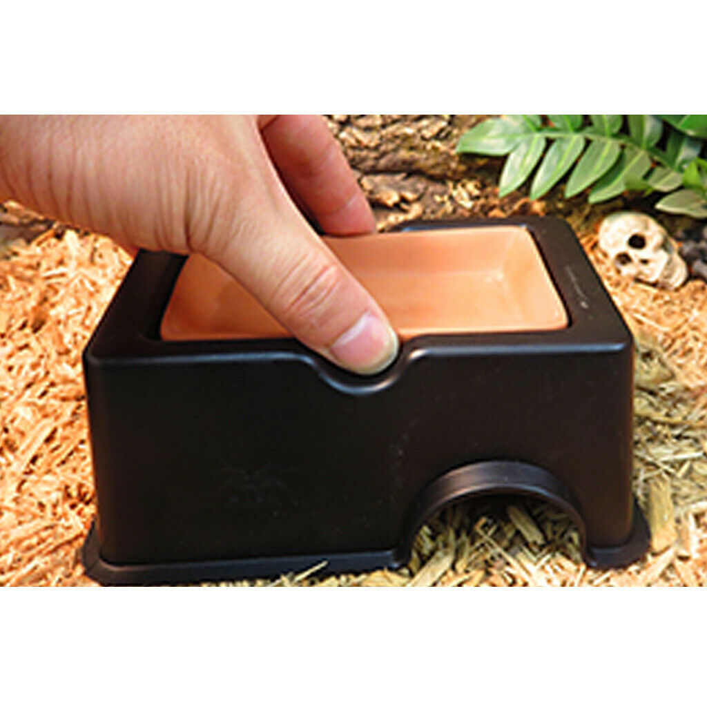 Reptile Hide Cave Box Lizards Habitat - Increase Humidity Water Supply Hideout