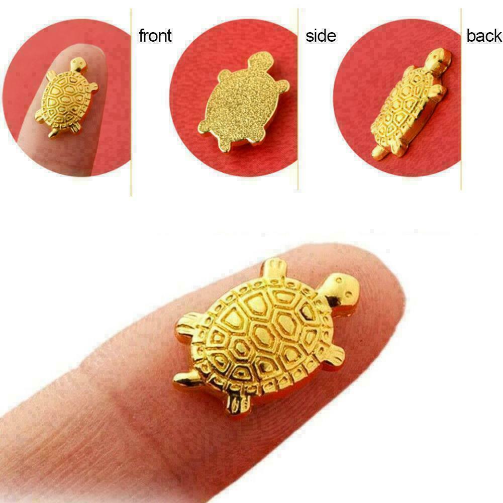 Money Turtle Golden Tortoise Blessing Fortune Furnishing Feng