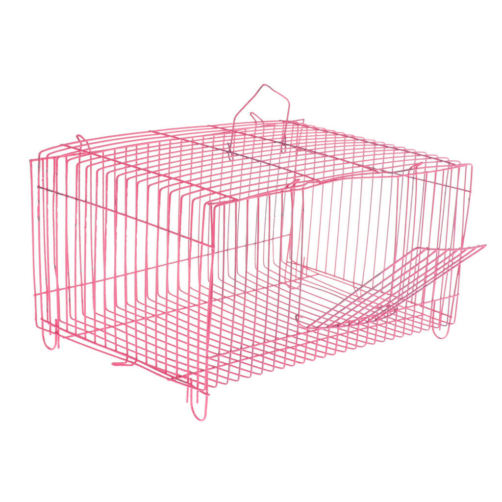 New House Small Pet Hamster Exercise