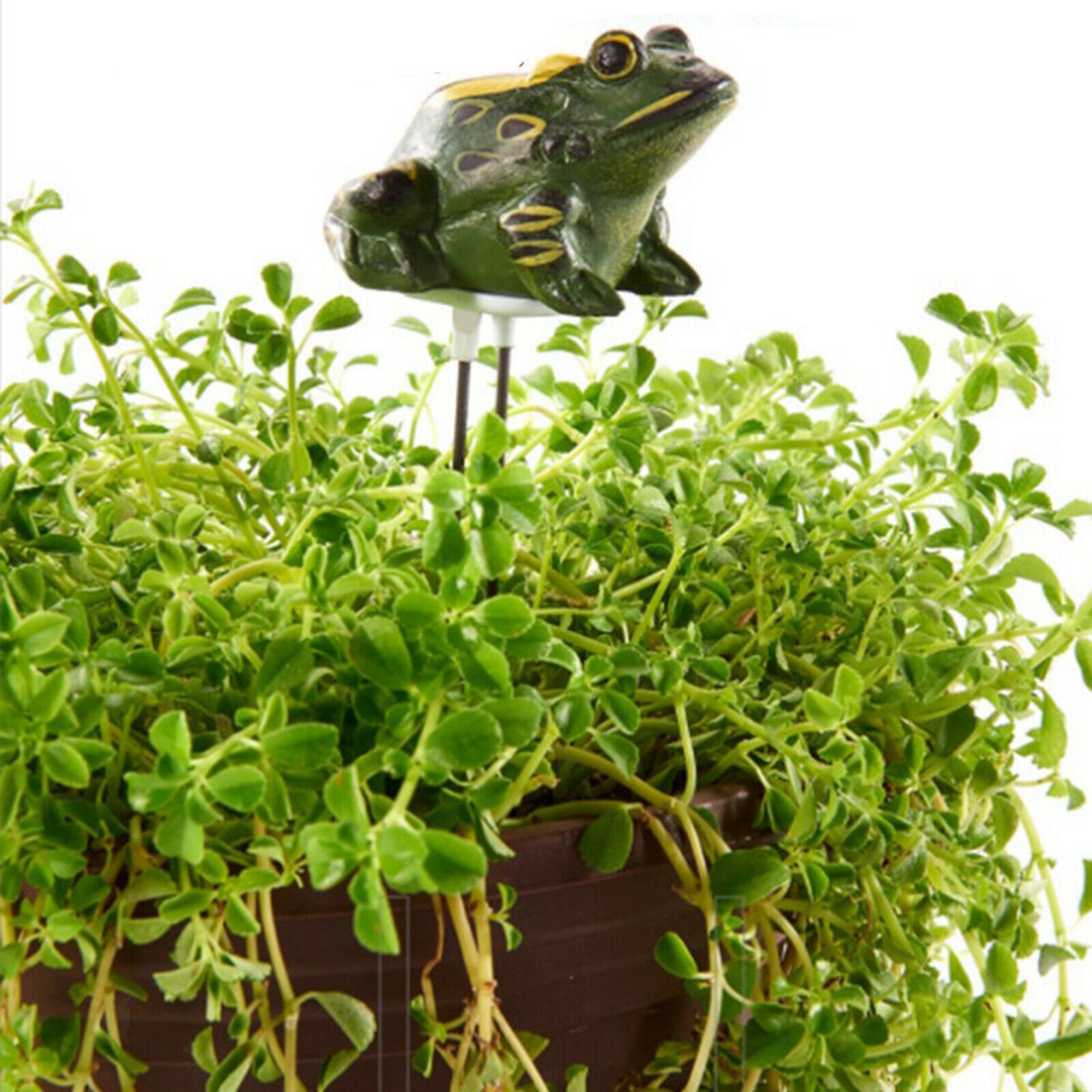 Frog Shape Soil Moisture Meter for Indoor Houseplant Bonsai Farm Hygrometer