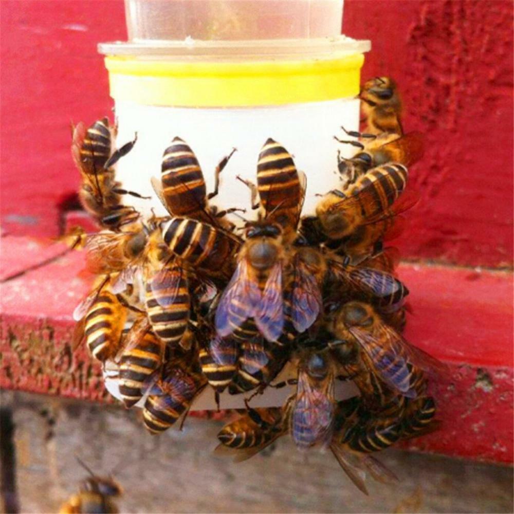 Perforated Automatic Waterers Bee Water Feeder Bee Keeping Tool 10Pieces