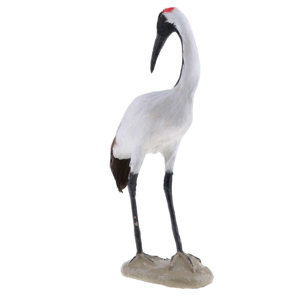 2X Realistic Parrot Red-crowned Crane Bird Sculpture Garden Outdoor Decor