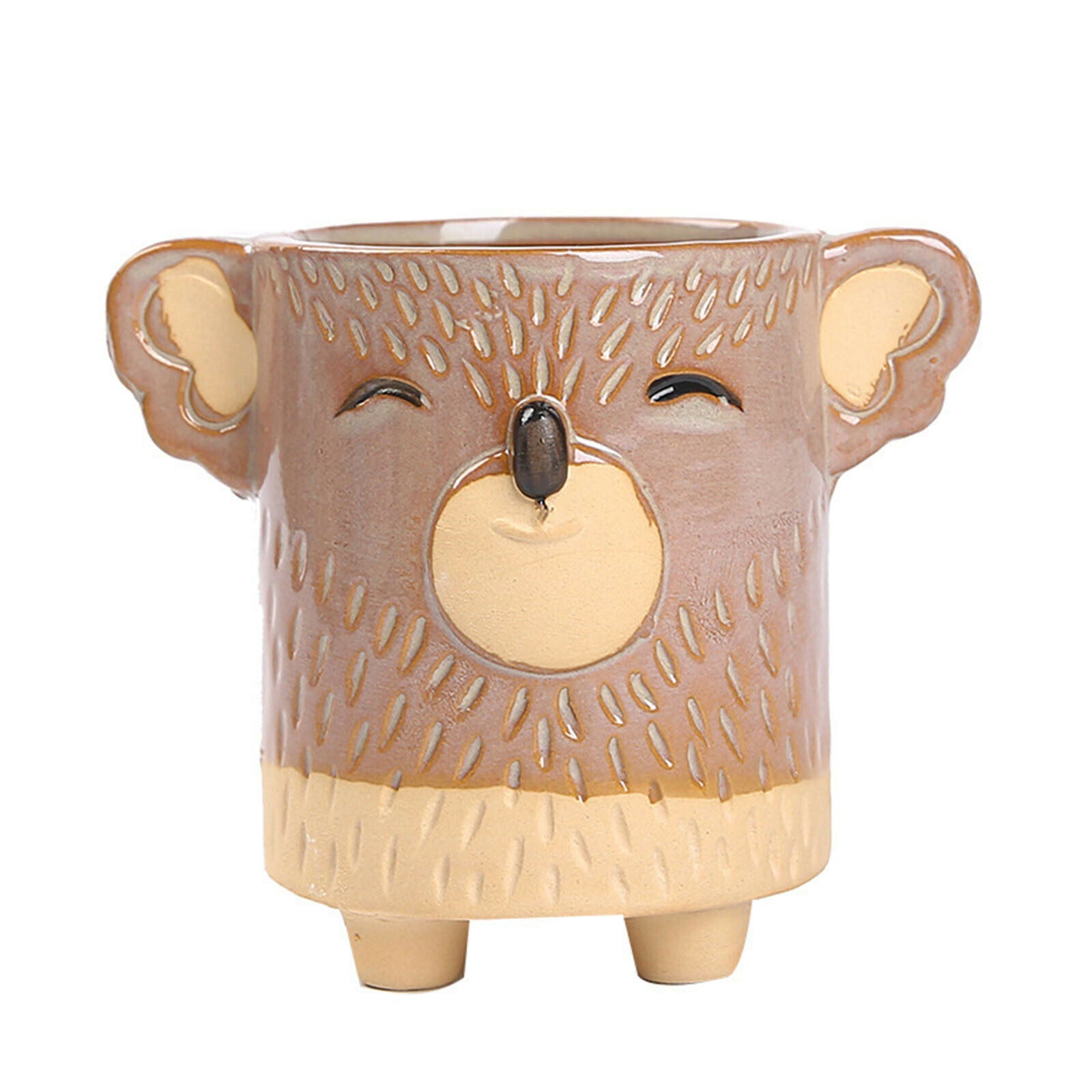 Creative Flower Pot Animal Shaped 5pcs Frog Pig Mini Green Plants for Home