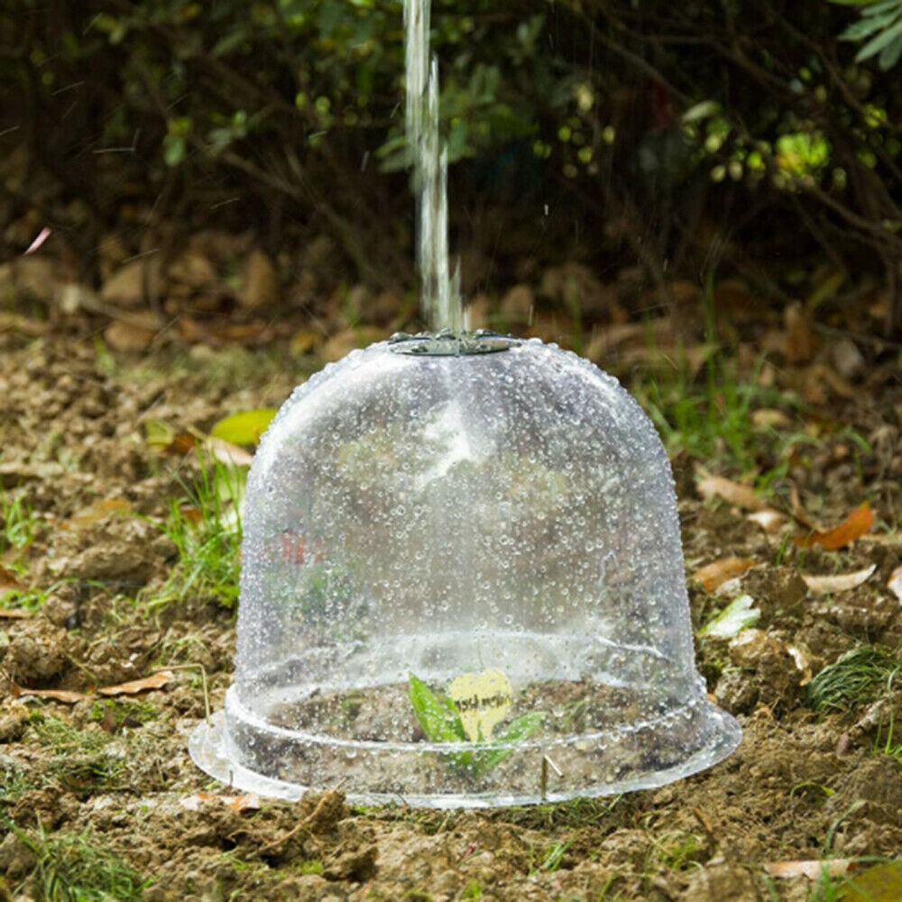 Reusable plastic Mini Greenhouse Set Garden Cloche Dome freeze Protection Cover