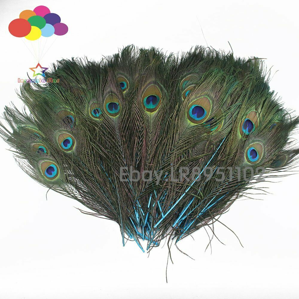 Wholesale 100pcs 25-30 cm Lake blue Peacock Tail Feathers eyes for DIY clothes