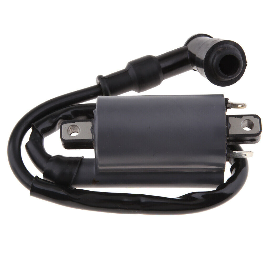 Ignition Coil for Buyang 300CC D300 G300 H300 ATV Quad Dirt Bike BUGGY Black